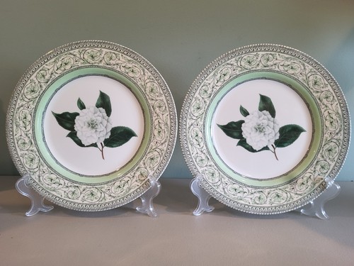 Set royal horticultural - 2,